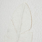 Quill White Feather