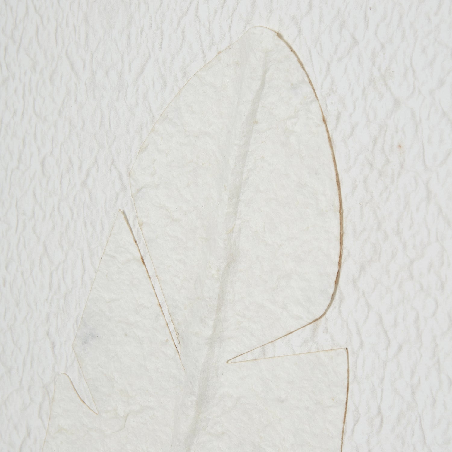 Quill White Feather