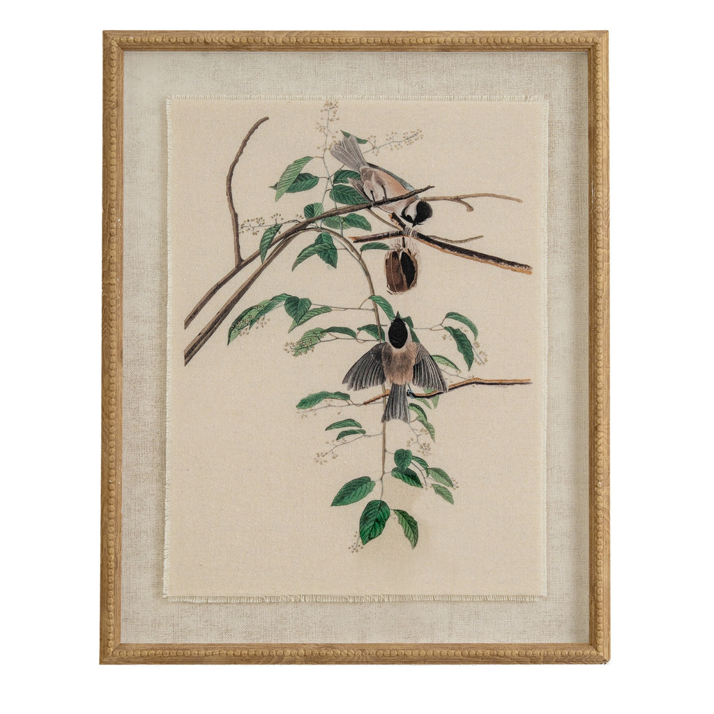 Chickadees