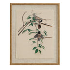 Chickadees