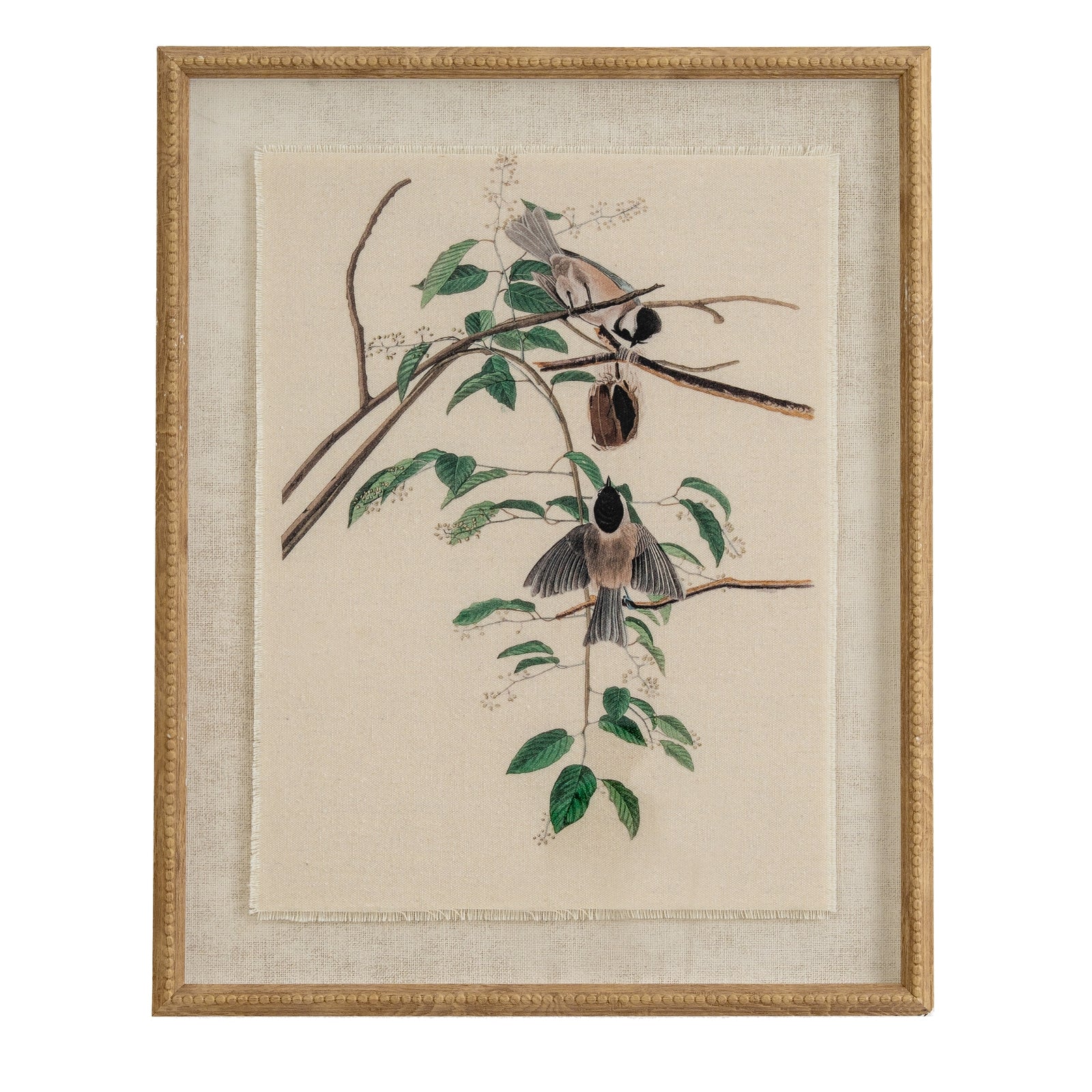 Chickadees