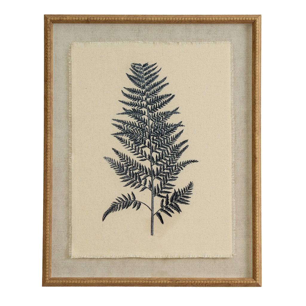 Beech Fern