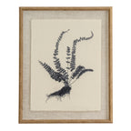 Spleenwort