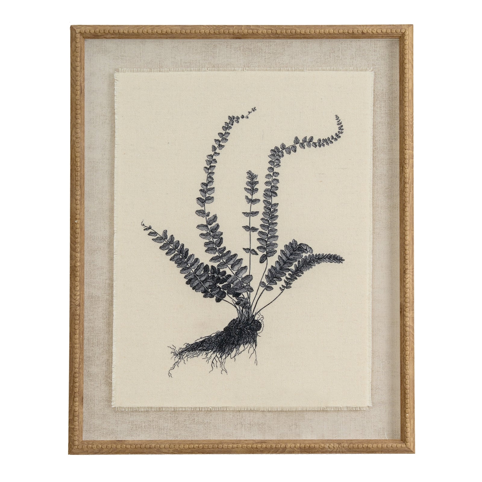 Spleenwort