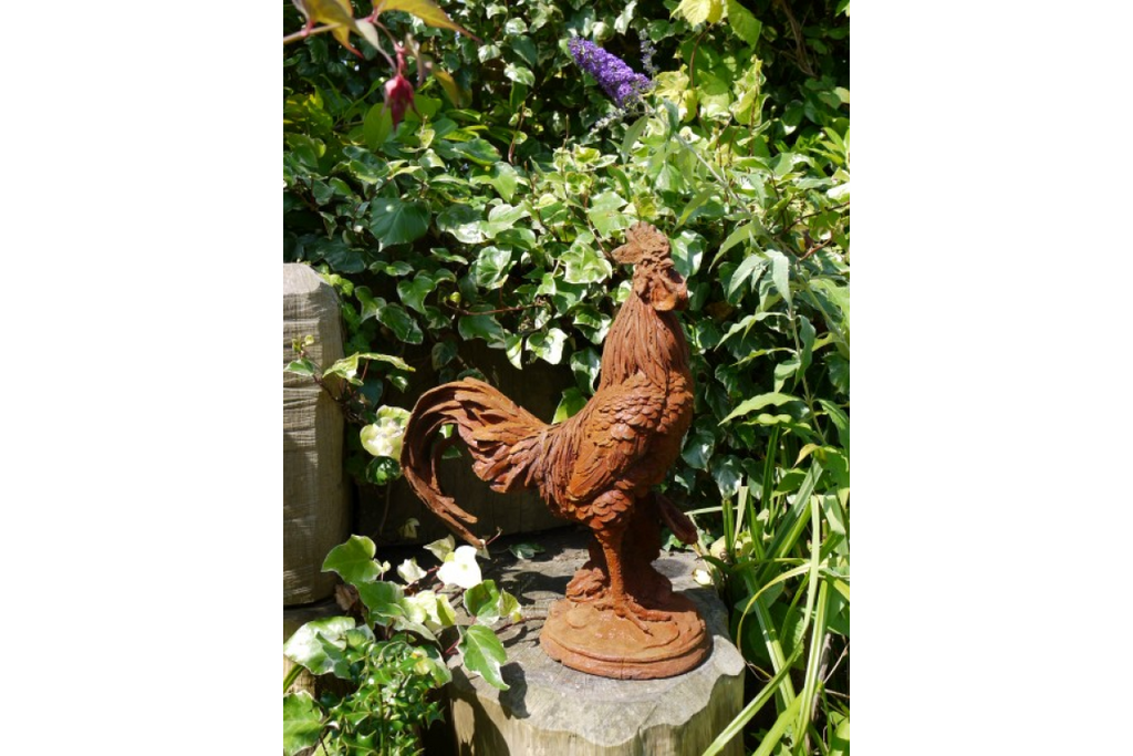 Cockerel