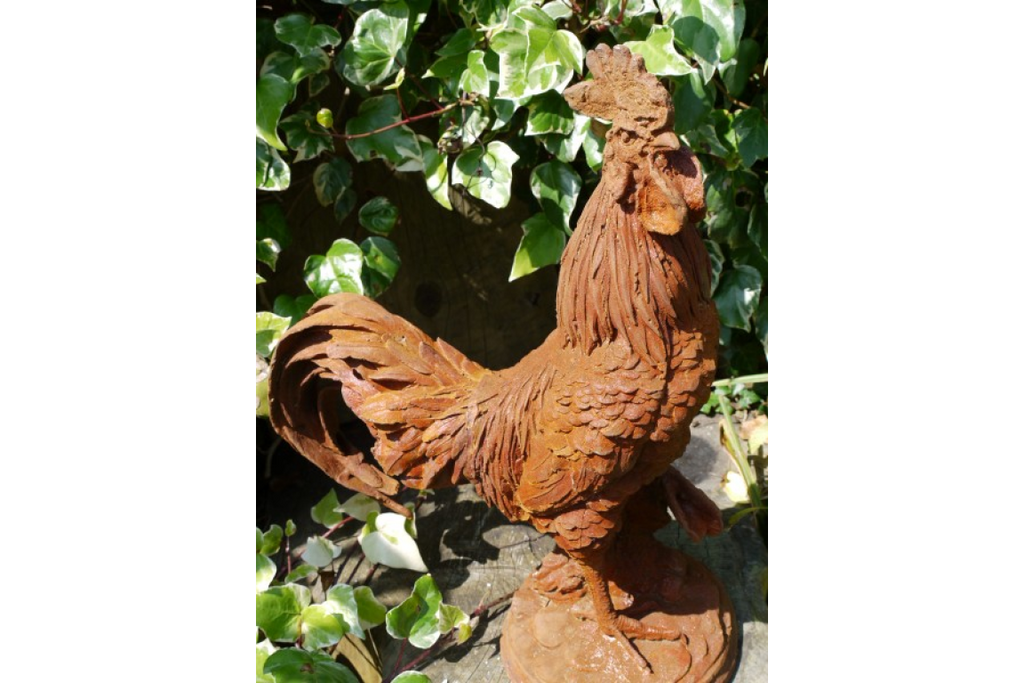 Cockerel