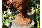 Cockerel