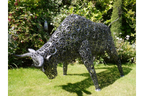 Large Bull