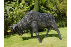 Large Bull