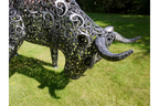 Large Bull