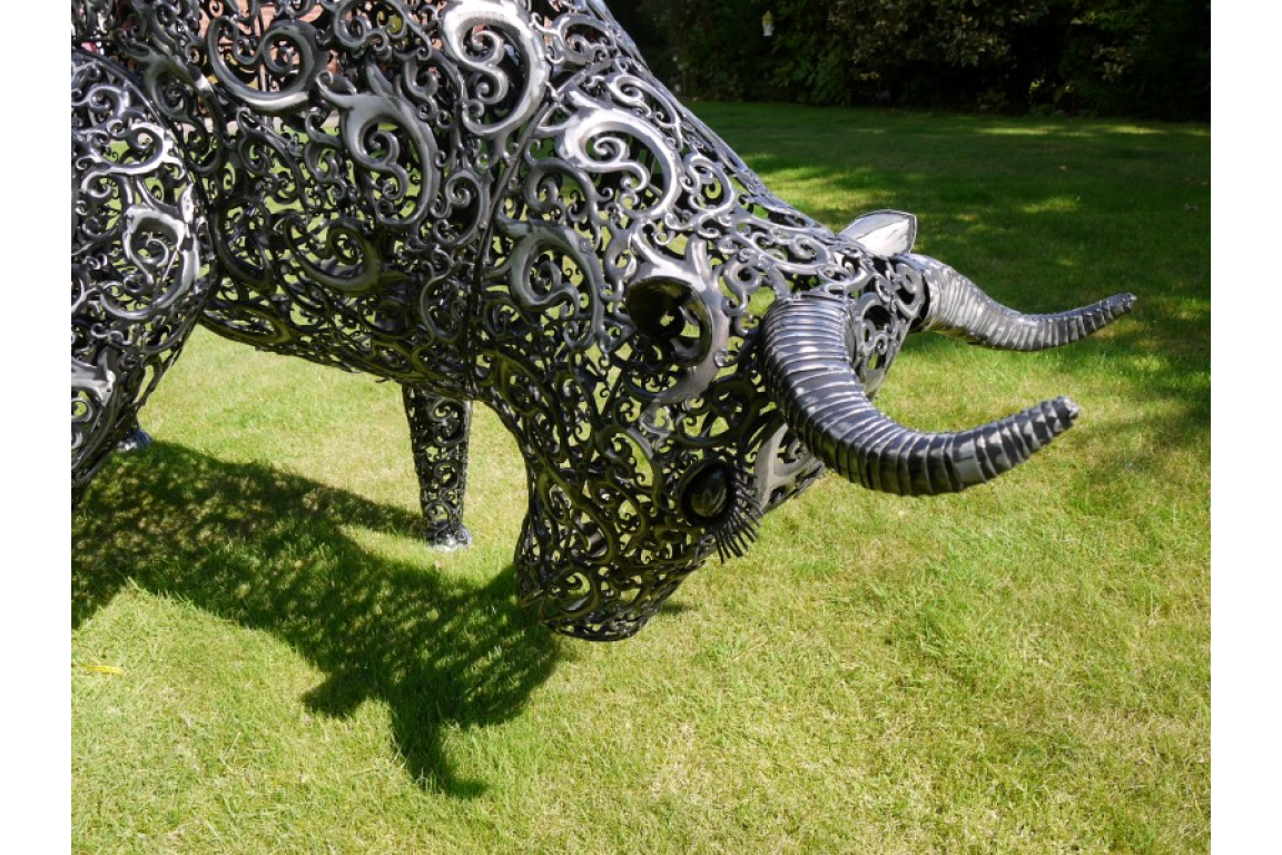 Large Bull