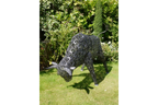 Large Bull