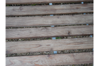 Lincoln Bench
