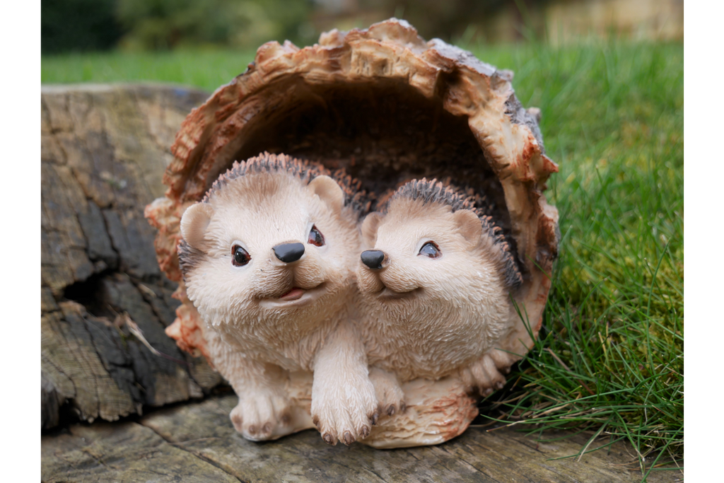 Hedgehogs