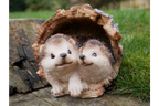 Hedgehogs