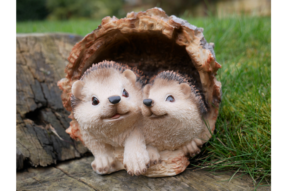 Hedgehogs