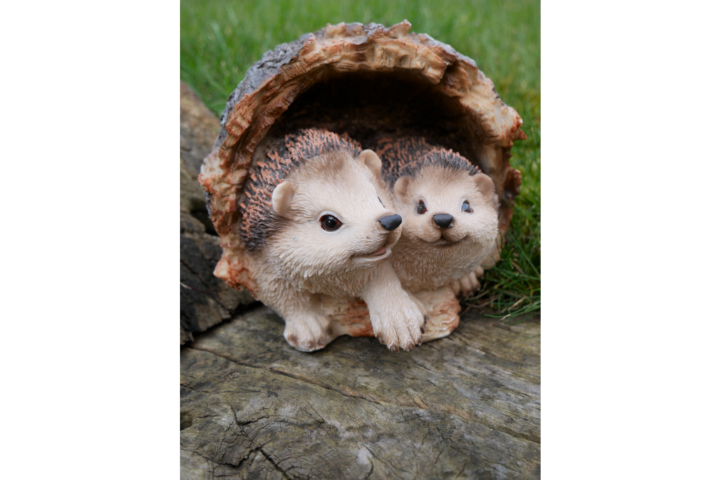 Hedgehogs