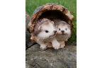 Hedgehogs