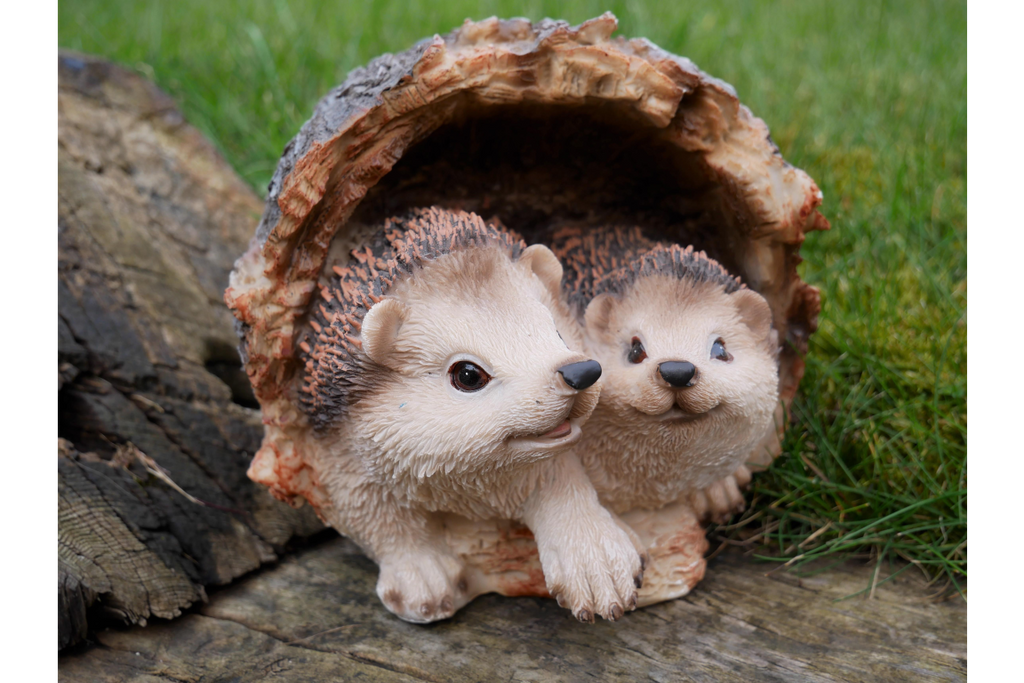 Hedgehogs