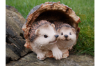 Hedgehogs