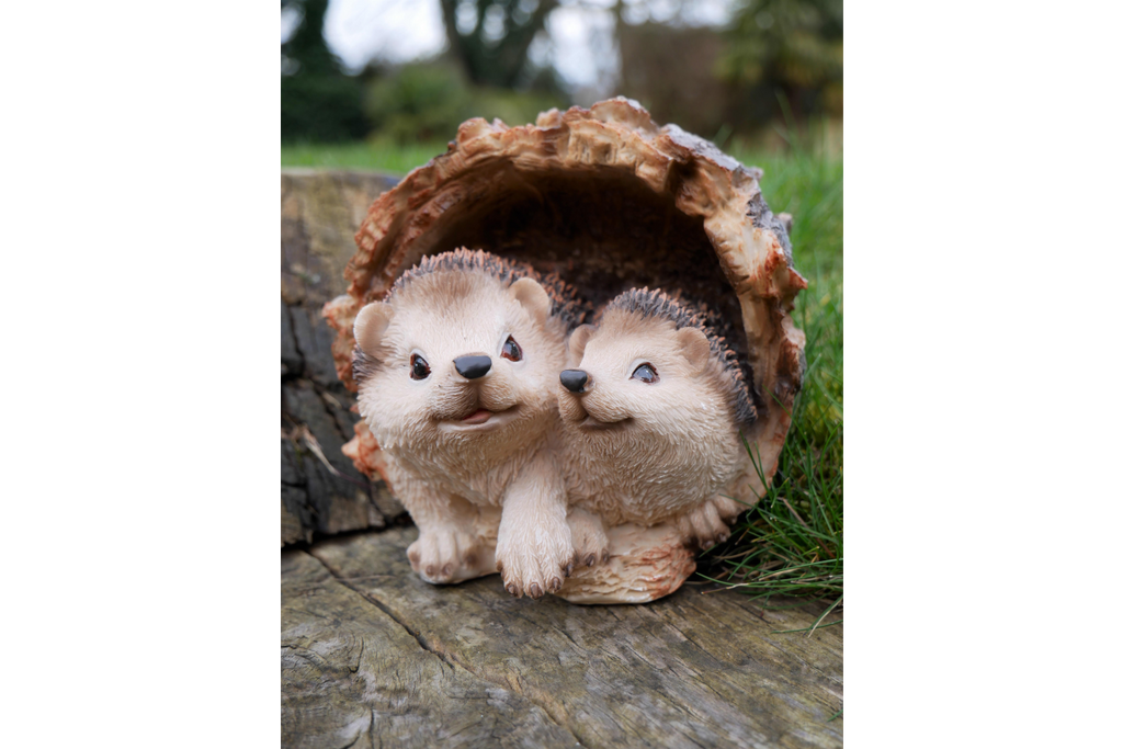 Hedgehogs