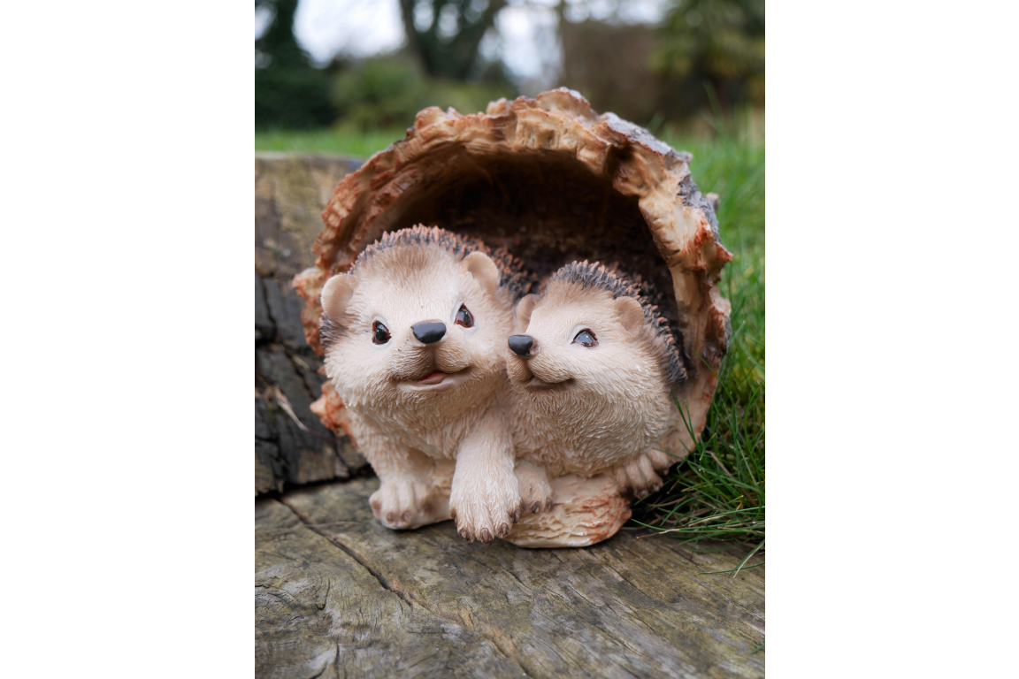 Hedgehogs