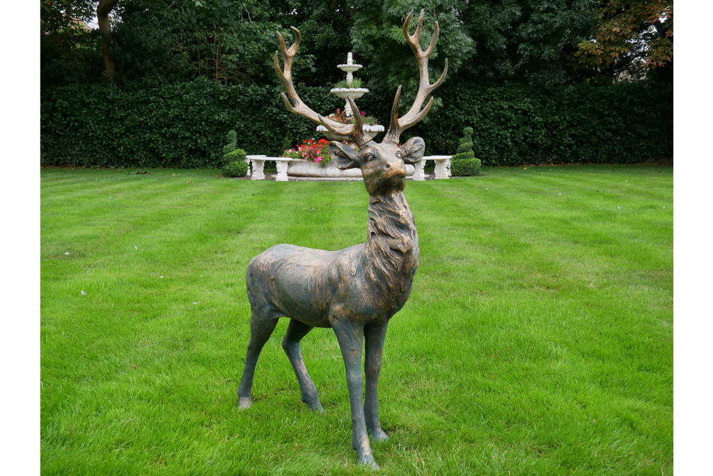 Stag