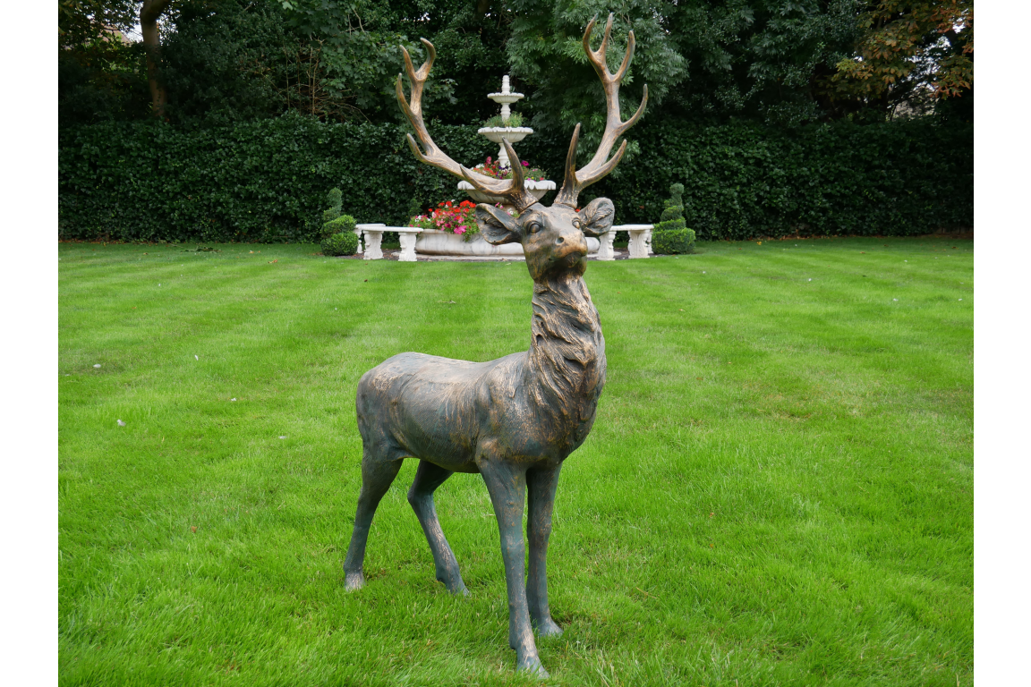 Stag