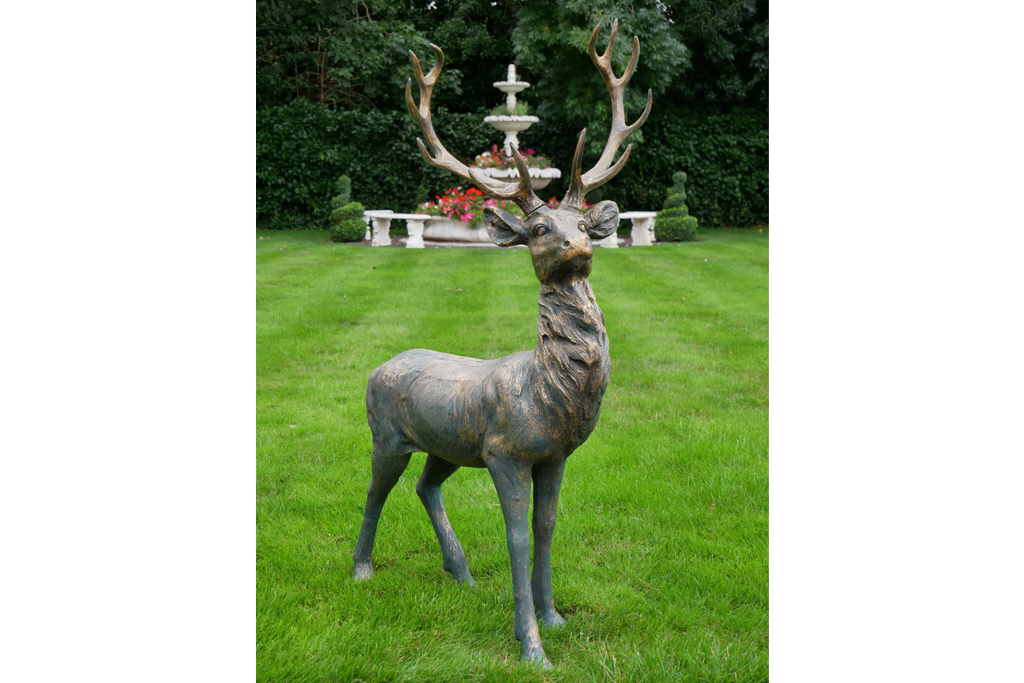 Stag
