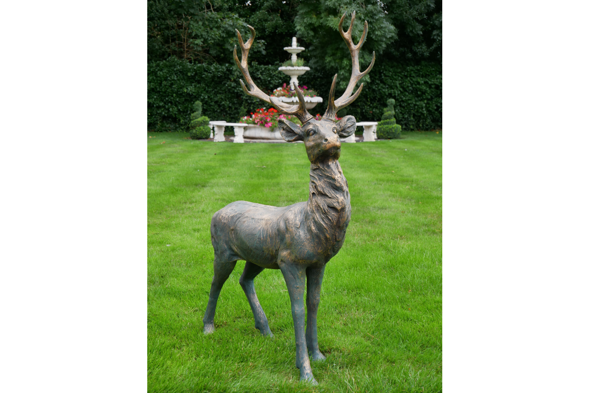 Stag