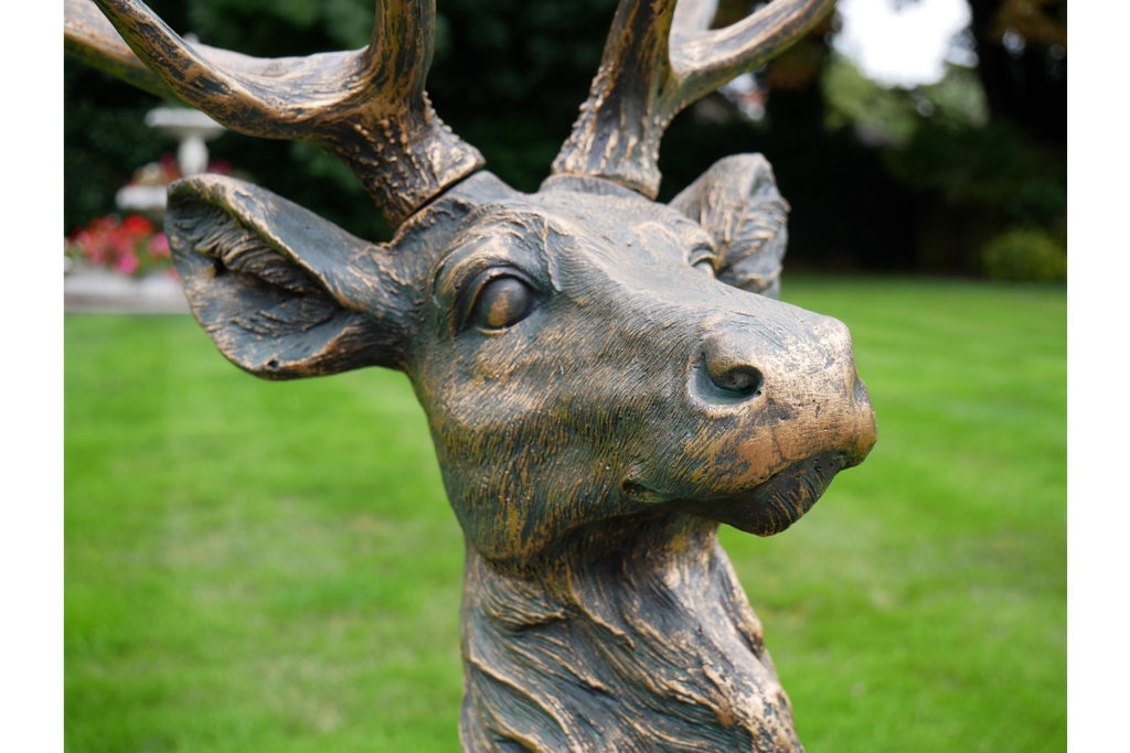 Stag