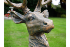 Stag