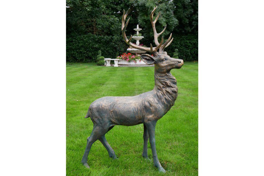 Stag