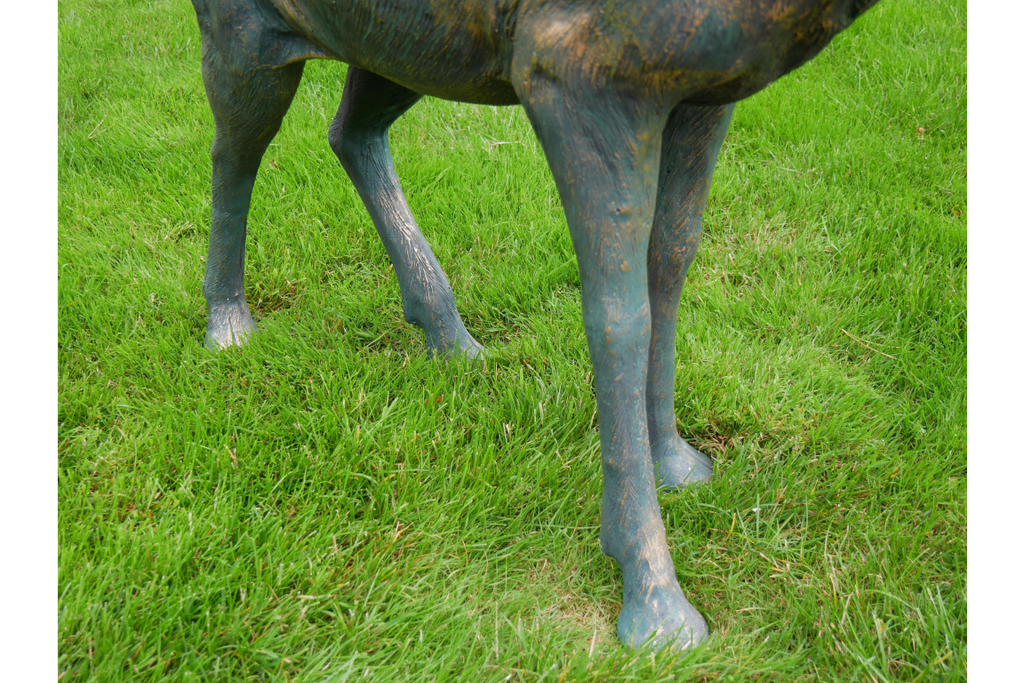 Stag