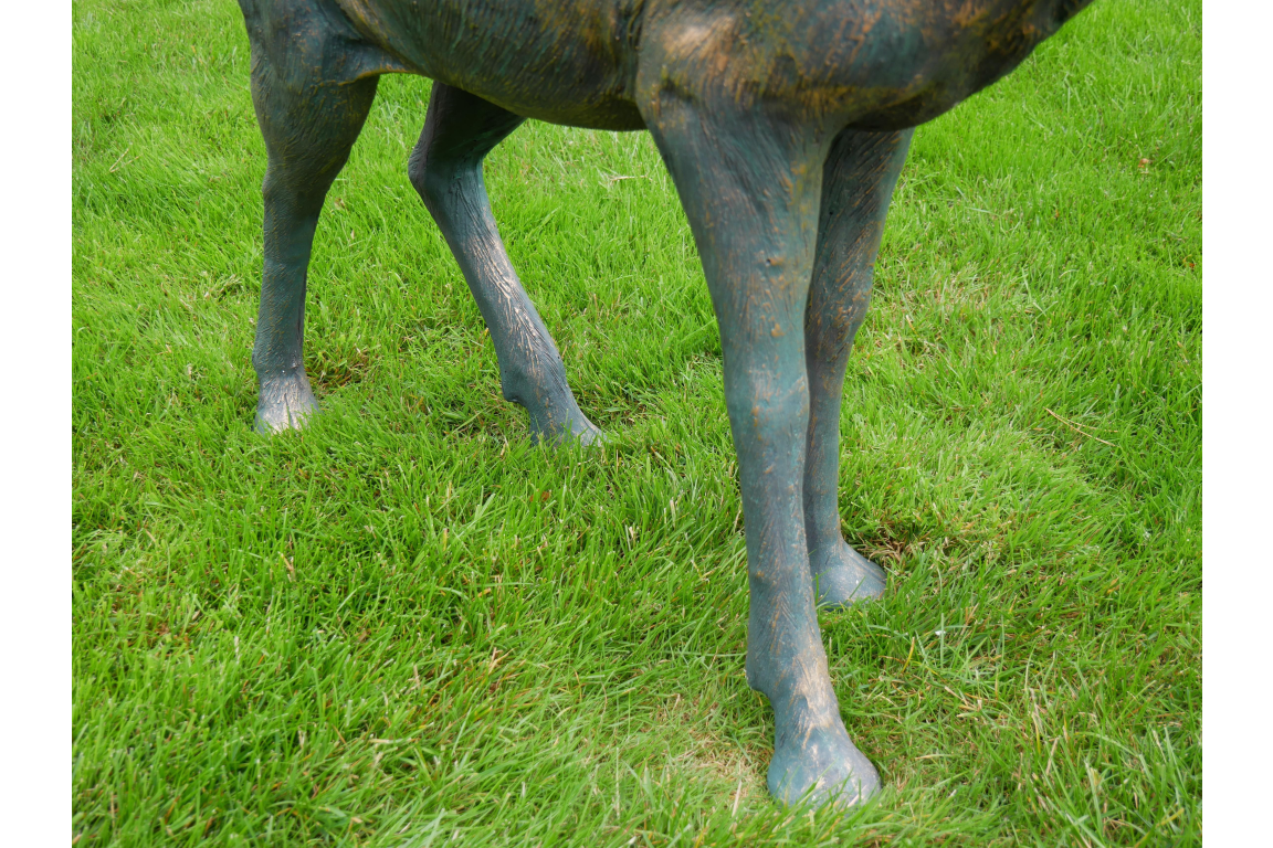Stag