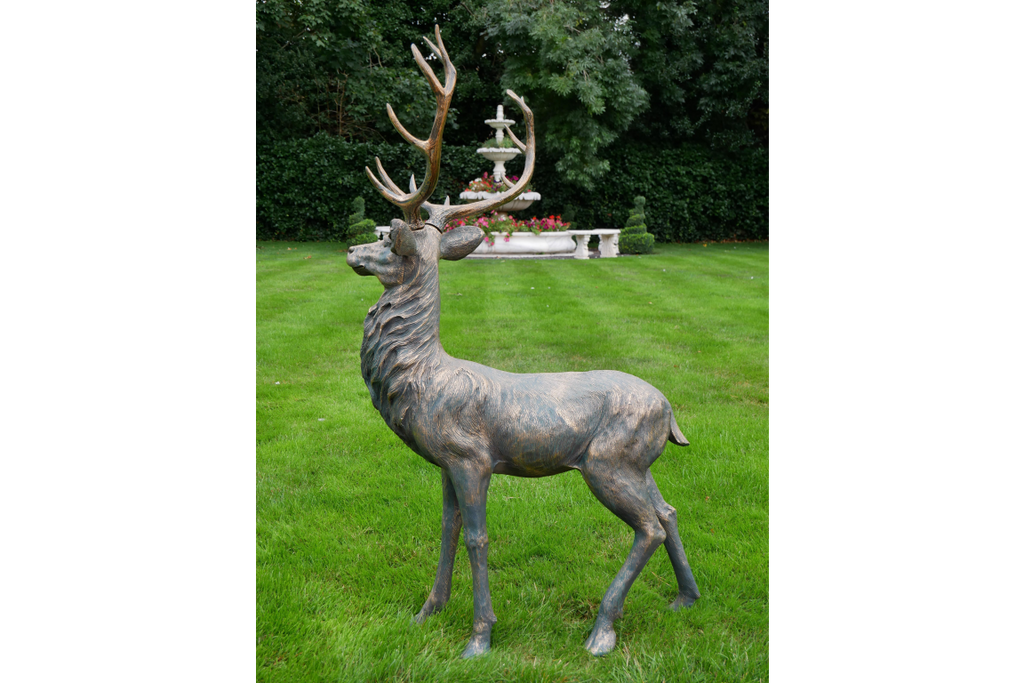 Stag