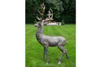 Stag