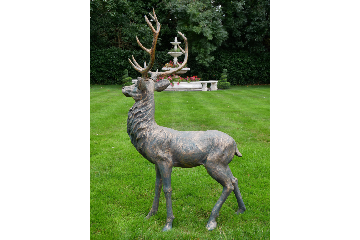 Stag