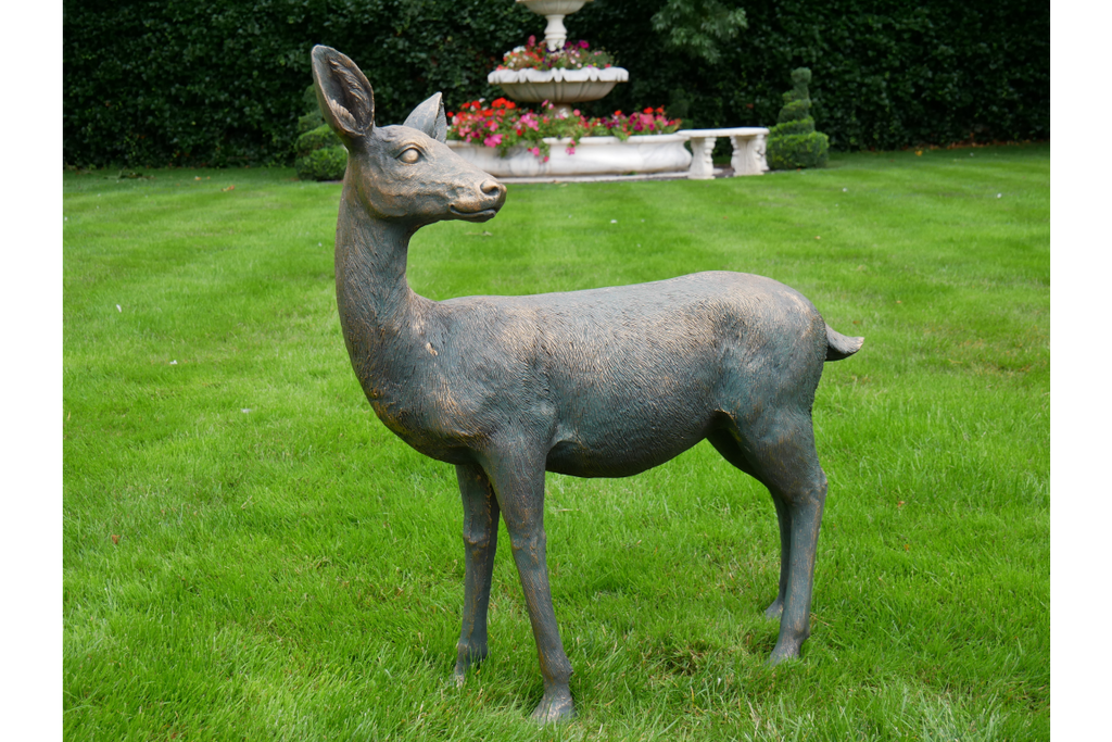 Deer