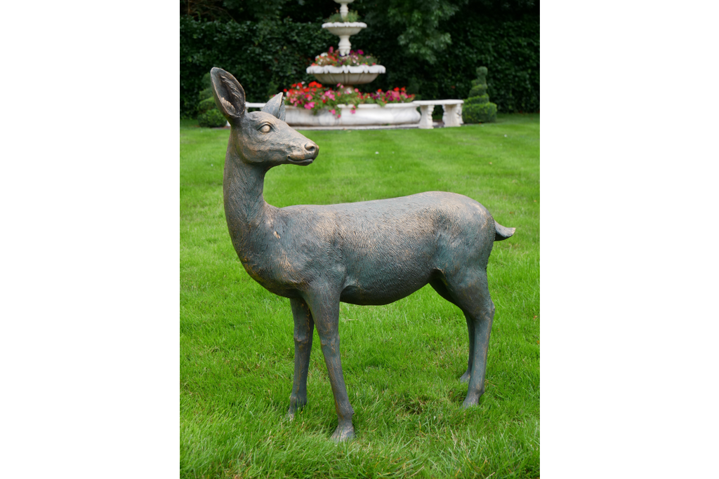Deer