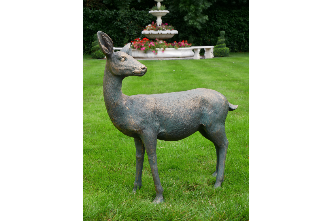 Deer