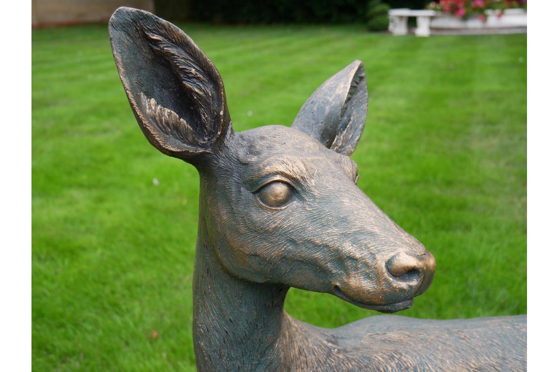 Deer