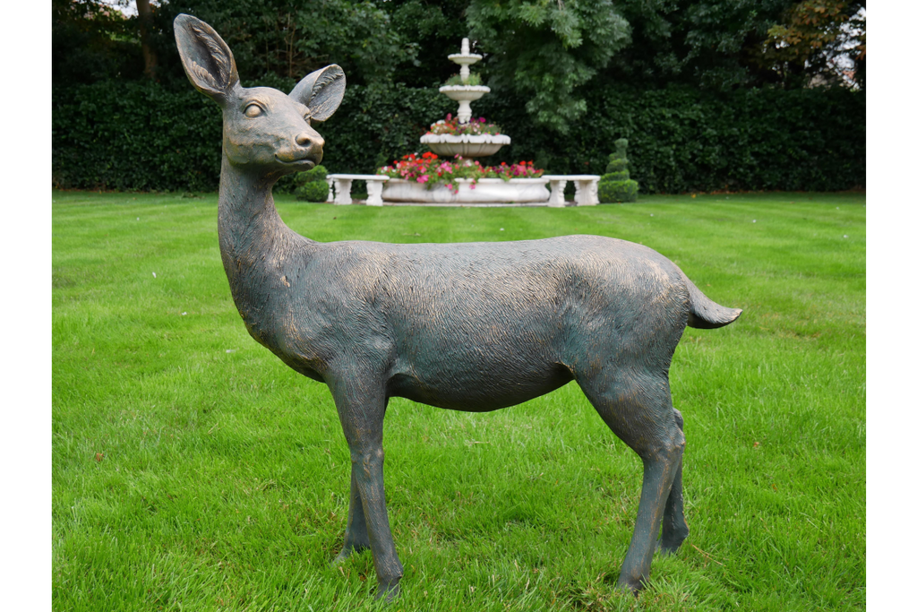 Deer