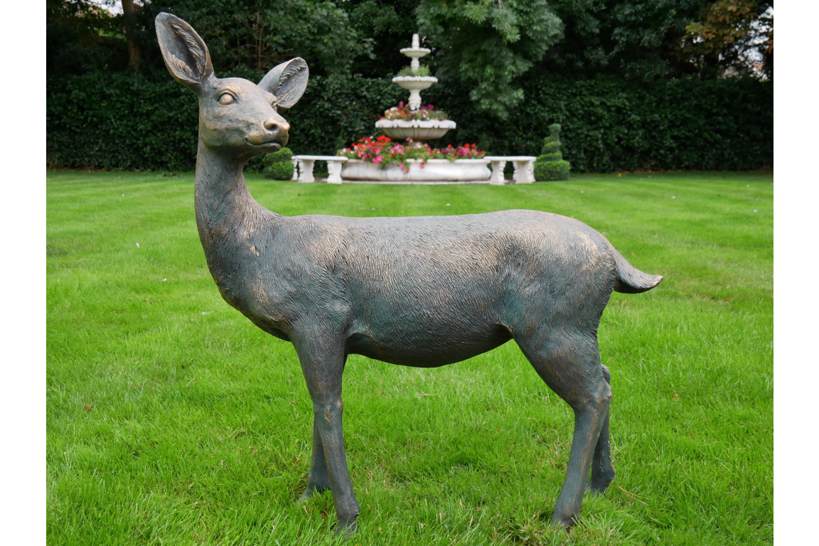 Deer