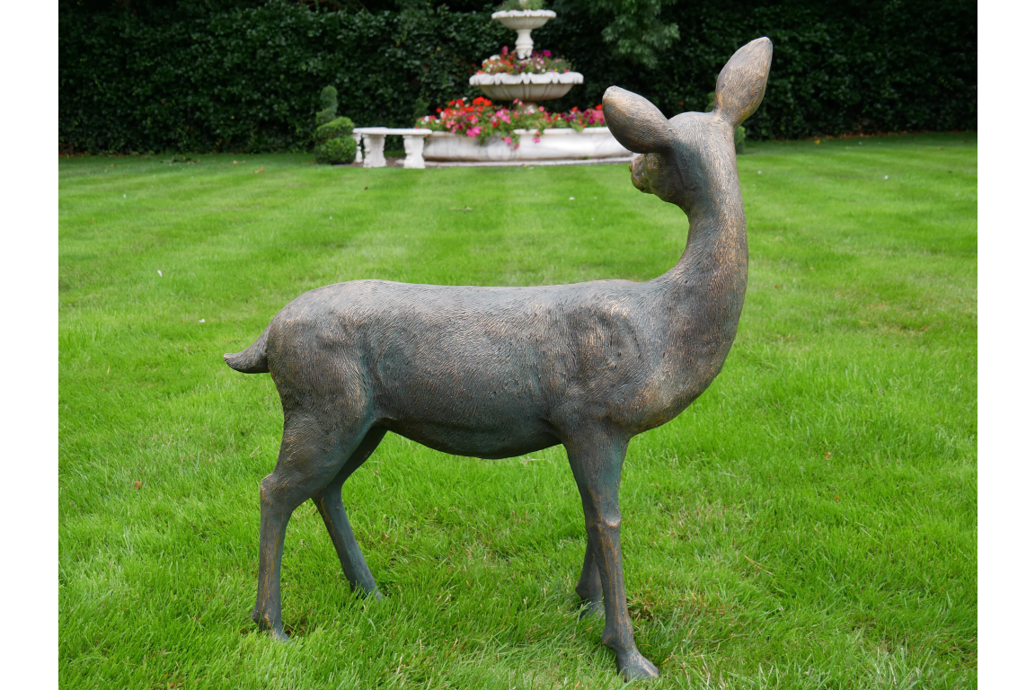 Deer