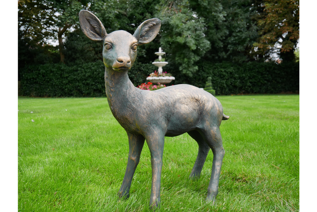 Small Deer