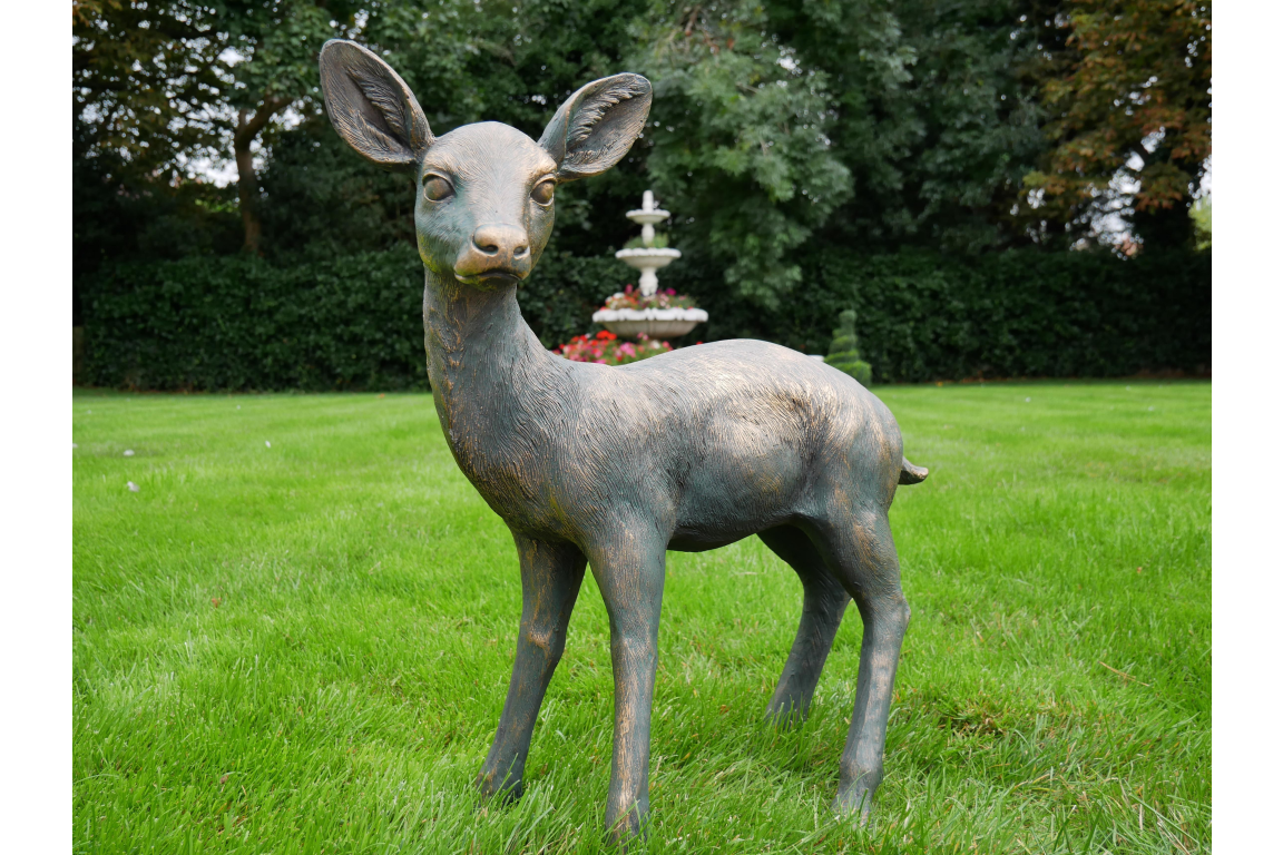 Small Deer