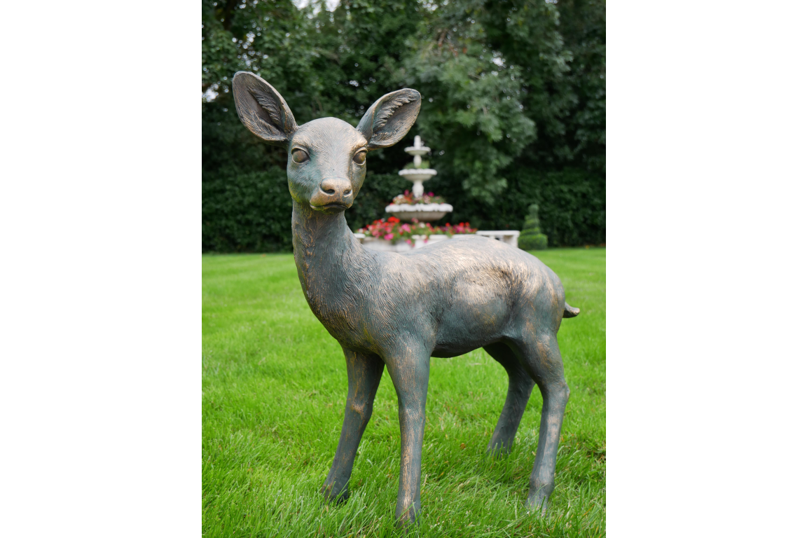 Small Deer
