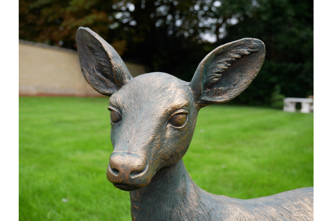 Small Deer