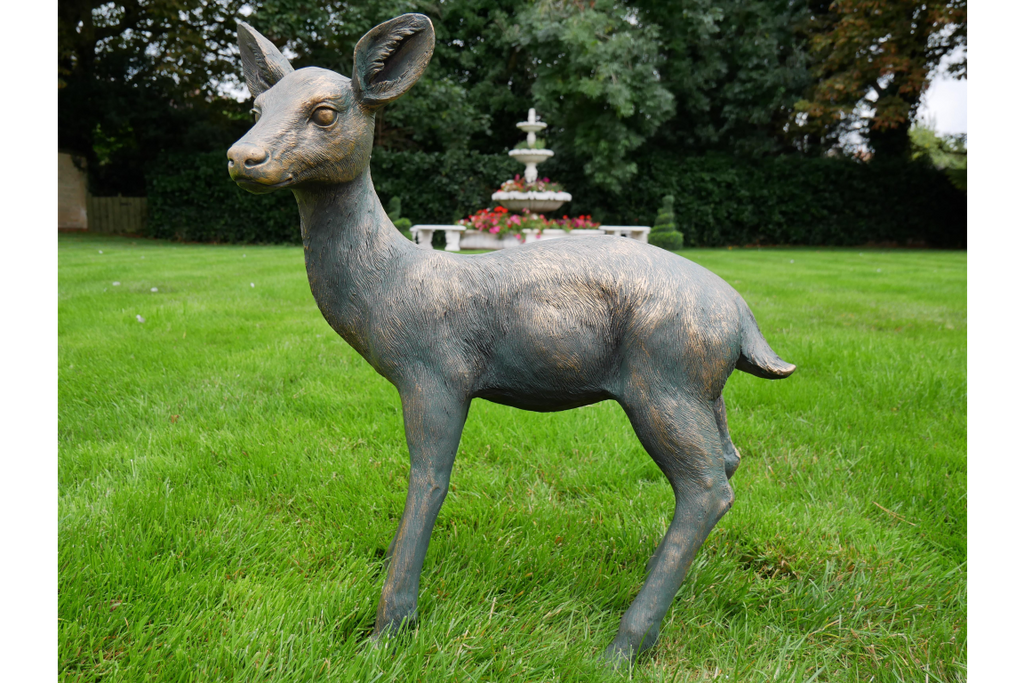 Small Deer